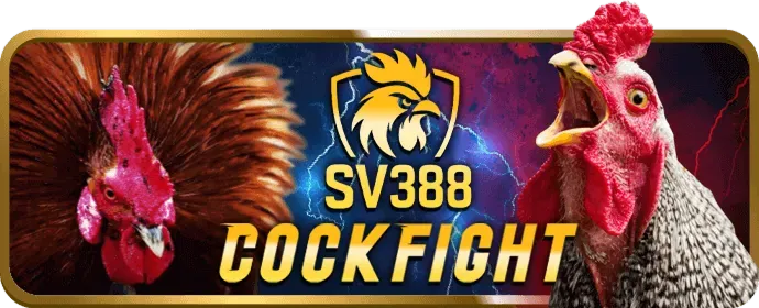 Chương trình VIP với đặc quyền hấp dẫn