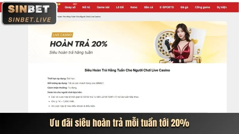 Các cấp độ VIP và lợi ích độc quyền 8day08